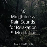 40 Mindfulness Rain Sounds for Relaxation & Meditation