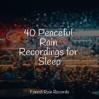 40 Peaceful Rain Recordings for Sleep