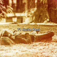 71 Incite Rest