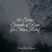 40 Serene Sounds of Rain for Stress Relief