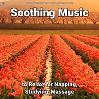 !!!! Soothing Music to Relax, for Napping, Studying, Massage