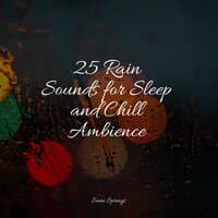 25 Rain Sounds for Sleep and Chill Ambience