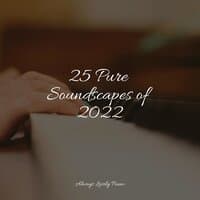 25 Pure Soundscapes of 2022