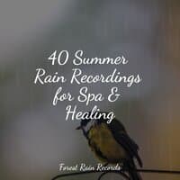 40 Summer Rain Recordings for Spa & Healing