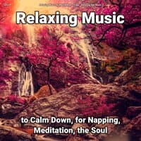 zZZz Relaxing Music to Calm Down, for Napping, Meditation, the Soul