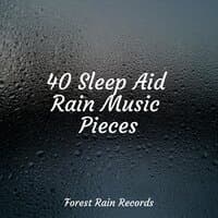 40 Sleep Aid Rain Music Pieces