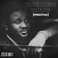 The New Wave (Freestyle)