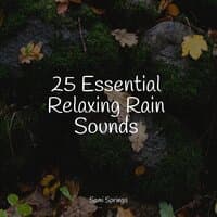 25 Essential Relaxing Rain Sounds