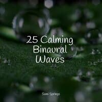 25 Calming Binaural Waves