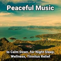 #01 Peaceful Music to Calm Down, for Night Sleep, Wellness, Tinnitus Relief