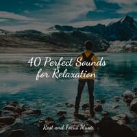 40 Perfect Sounds for Relaxation