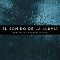 El Sonido De La Lluvia: Sonidos De Contemplación