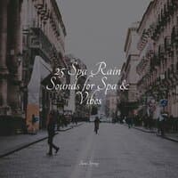 25 Spa Rain Sounds for Spa & Vibes