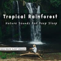 Tropical Rainforest Nature Sounds for Deep Sleep