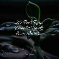 25 Best Rain Droplet Tracks from Nature