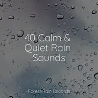 40 Calm & Quiet Rain Sounds