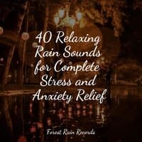 40 Relaxing Rain Sounds for Complete Stress and Anxiety Relief