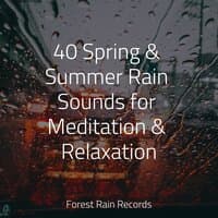 40 Spring & Summer Rain Sounds for Meditation & Relaxation