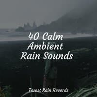 40 Calm Ambient Rain Sounds