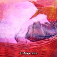 45 Nap Time