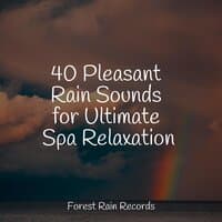 40 Pleasant Rain Sounds for Ultimate Spa Relaxation