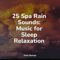 25 Spa Rain Sounds: Music for Sleep Relaxation