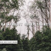 Rainforest Sleep Sounds