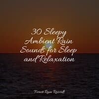 30 Sleepy Ambient Rain Sounds for Sleep and Relaxation