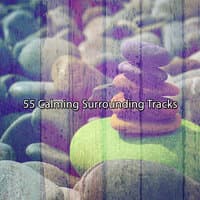 55 Calming Surrounding Tracks