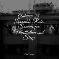 Autumn 25 Loopable Rain Sounds for Meditation and Sleep