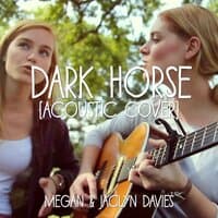 Dark Horse  feat. Jaclyn Davies