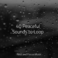 40 Peaceful Sounds to Loop