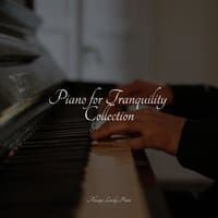 Piano for Tranquility Collection