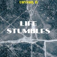 Life Stumbles