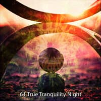 61 True Tranquility Night