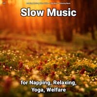 #01 Slow Music for Napping, Relaxing, Yoga, Welfare