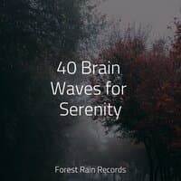 40 Brain Waves for Serenity