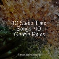 40 Sleep Time Songs: 40 Gentle Rains