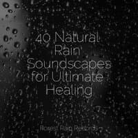 40 Natural Rain Soundscapes for Ultimate Healing