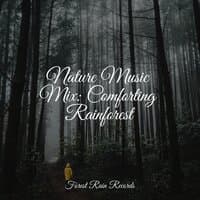 Nature Music Mix: Comforting Rainforest