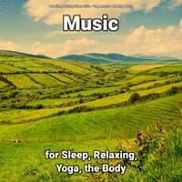 #01 Music for Sleep, Relaxing, Yoga, the Body