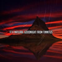 17 A Natural Goodnight From Tinnitus