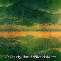 29 Study Hard With Nature