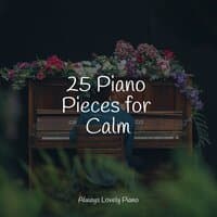 25 Piano Pieces for Calm