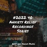 #2022 40 Anxiety Relief Recordings Series