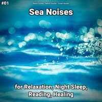 #01 Sea Noises for Relaxation, Night Sleep, Reading, Healing