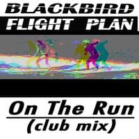 Blackbird Flight Plan