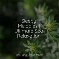 Sleepy Melodies | Ultimate Spa Relaxation