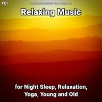 #01 Relaxing Music for Night Sleep, Relaxation, Yoga, Young and Old