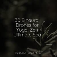 30 Binaural Drones for Yoga, Zen Ultimate Spa